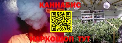 прущие крисы Апшеронск