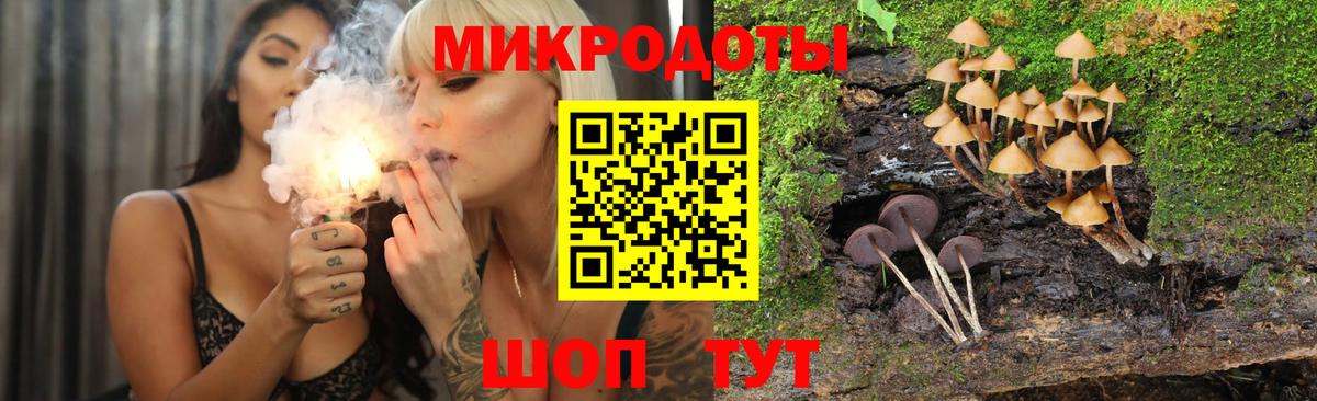 цена   Галлюциногенные грибы Psilocybe  Вход с VPN  Астрахань 
